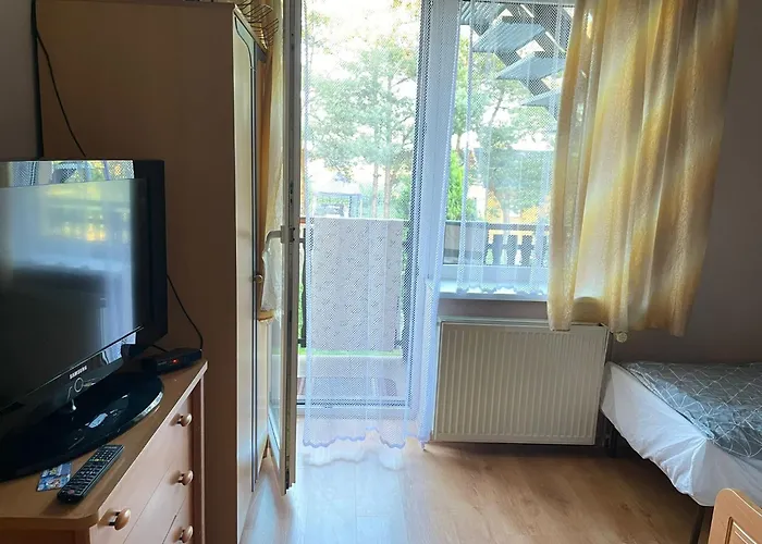 U Eli Energylandia *